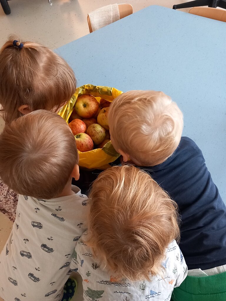 20250919_093501__Groß_.jpg  